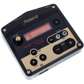 ROLAND TM2 Module de sons