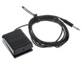 Roland DP2 Sustain Pedal/Hold Pedal jack