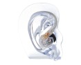 Shure SE215-CL In-Ear Ohrhörer