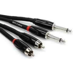 ROLAND RCC102R2R Double cable Jack-RCA 3m