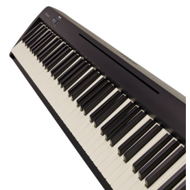 ROLAND FP10 digital piano