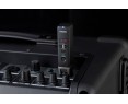Boss WL30XLR wireless mic system
