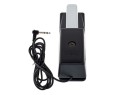 Roland DP10 sustain pedal