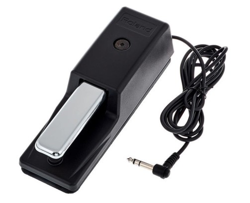 Roland DP10 sustain pedal