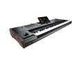 Korg PA5X 61 International Arranger