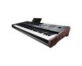 Korg PA5X 61 International Arranger