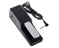 Roland DP10 sustain pedal
