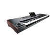 Korg PA5X 76 International