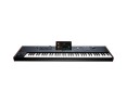 Korg PA5X 76 International