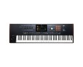 Korg PA5X 76 International