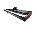 Korg PA5X 88 International