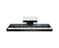 Korg PA5X 88 International