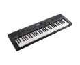 Roland GO KEYS 5 Graphite Klavier