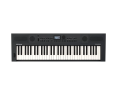 Roland GO KEYS 5 Graphite Clavier