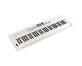 Roland GO KEYS 5 White Clavier