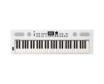 Roland GO KEYS 5 White Keyboard
