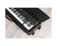 Studiologic Soft Case Transporttasche Numa X size C