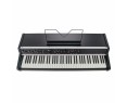 Viscount Legend `70s Compact Stage Piano