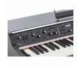 Viscount Legend `70s Compact Stage Piano