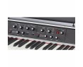 Viscount Legend `70s Compact Stage Piano
