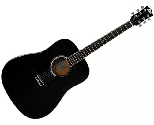 Eko Ranger 6 Blk Acoustic Guitar
