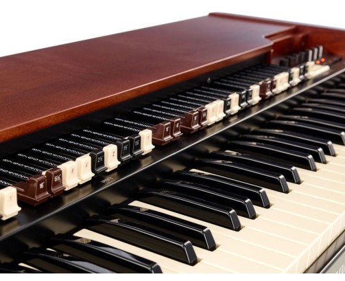 Hammond XK5 Organo 73 Tasti