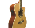 Eko One A150Ce Elektro-Akustikgitarre