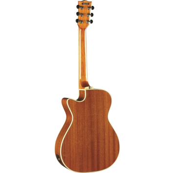 Eko One A150Ce Elektro-Akustikgitarre