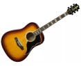 Eko Ranger VI VR EQ Honey Burst Akustikgitarre