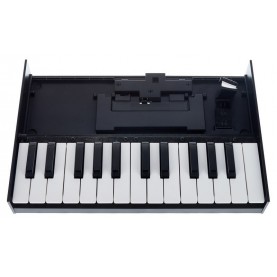 ROLAND K25M Clavier miniature boutique