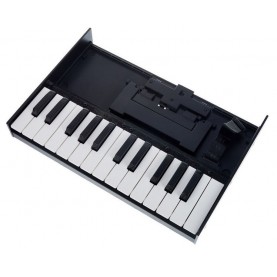 ROLAND K25M Clavier miniature boutique