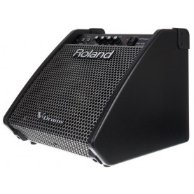 ROLAND PM100 Active Monitor Box for E-Drums