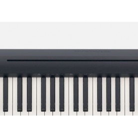 RROLAND FP10 Piano de scène numérique