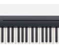 Roland FP10 digital piano