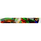 Picks Guitar/Bass