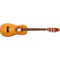 Guitares Classiques