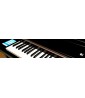 Pianos Numériques